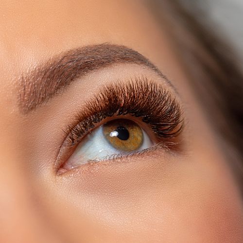 Wimpern und Brauen