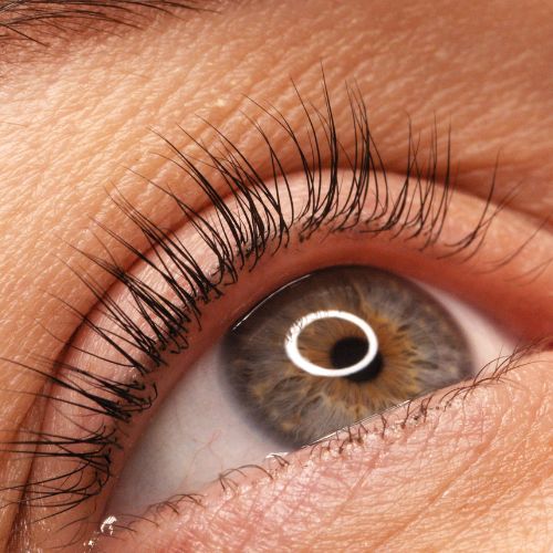 Nahaufnahme eines geöffneten Auges mit langen, geschwungenen Wimpern.