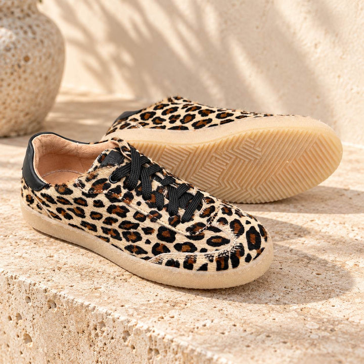 DIANETTI Sneaker Leo Cavallino